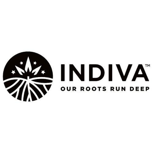 Indiva Our Roots Run Deep