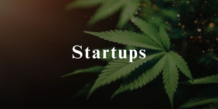Startups