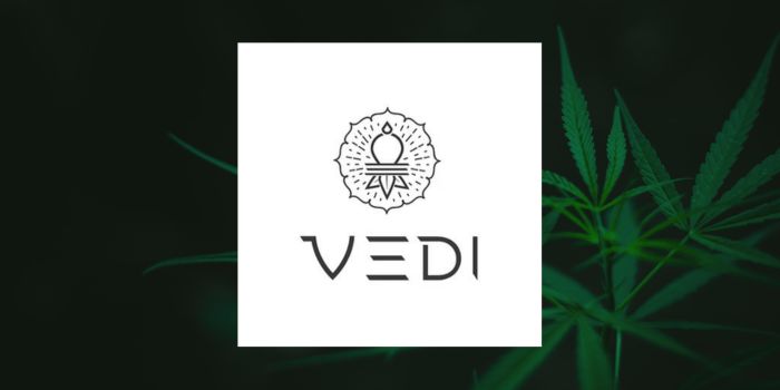 Vedi