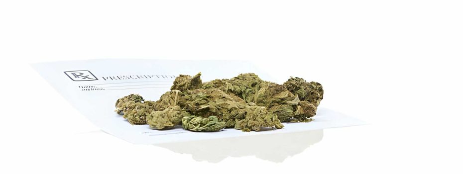 Times Of Hemp