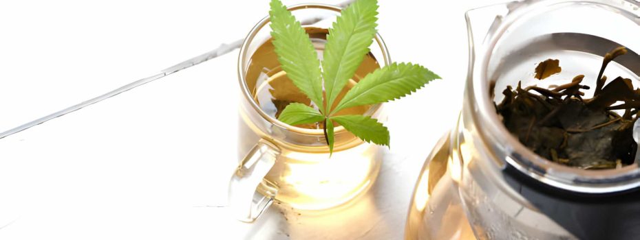 Times Of Hemp
