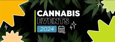 CBD: Catchup with Business Owners