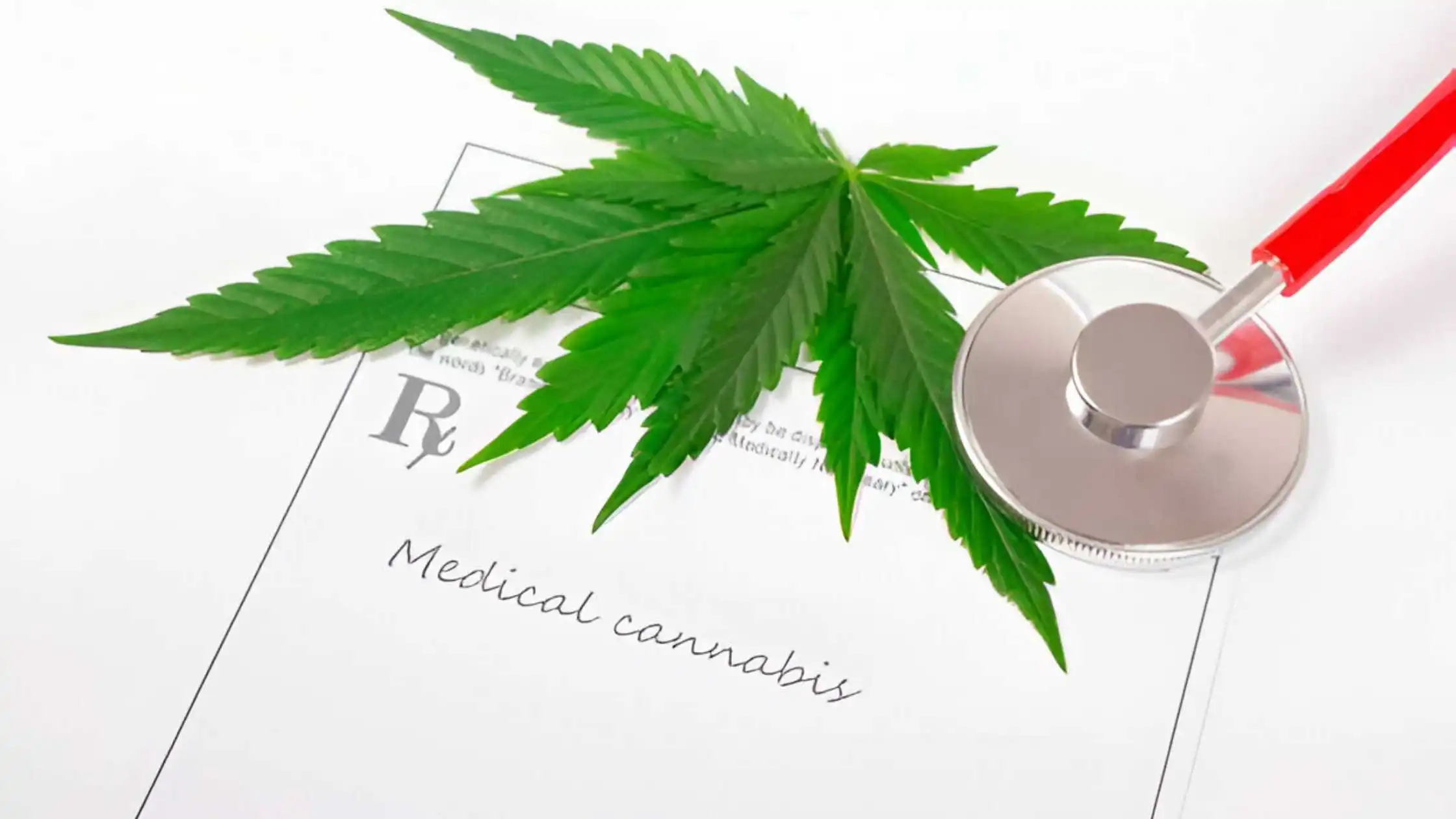 Legal Cannabis Reforms