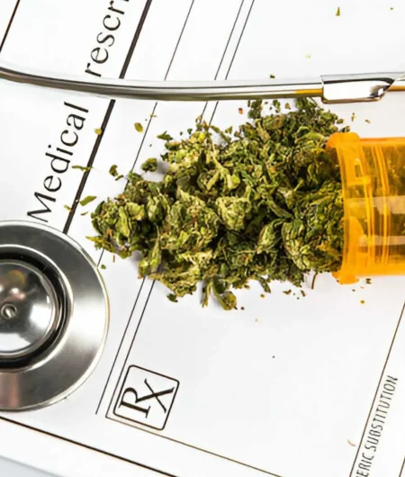 Times Of Hemp