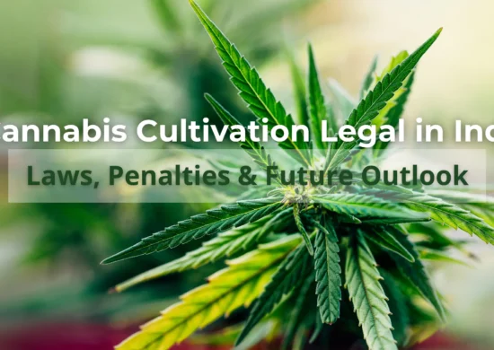 Times Of Hemp